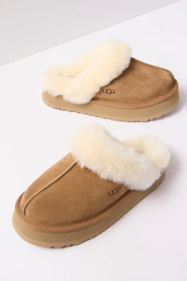 Disquette Slipper