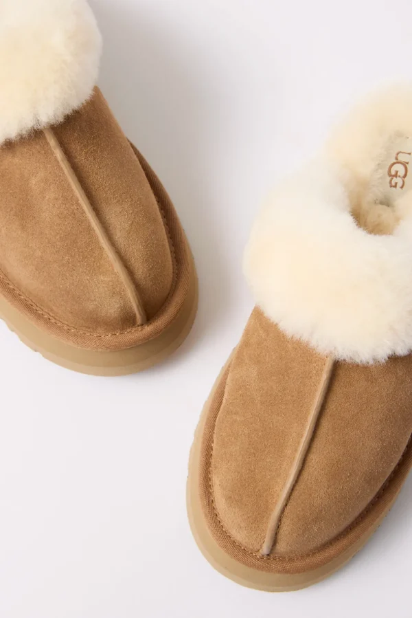 Disquette Slipper