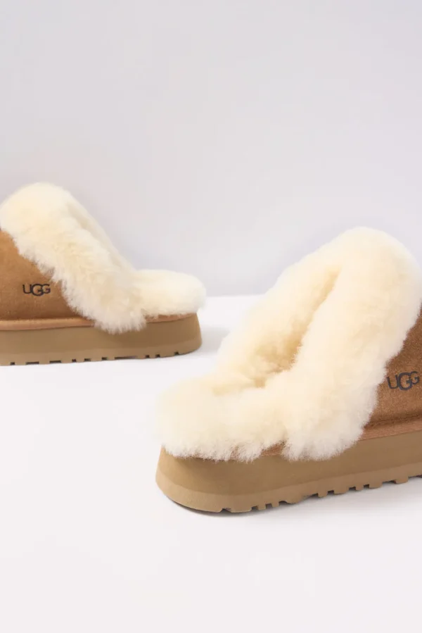 Disquette Slipper