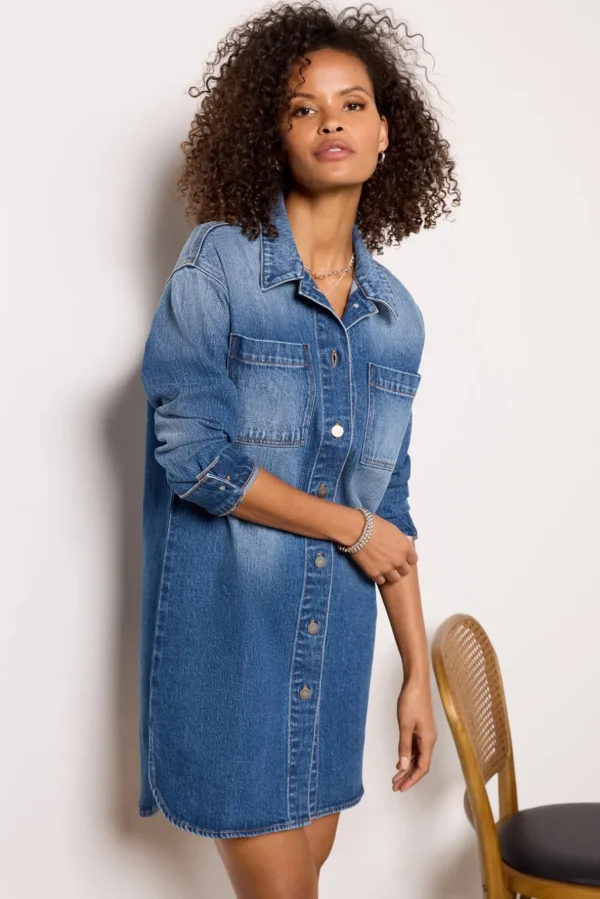 Ever Denim Dress