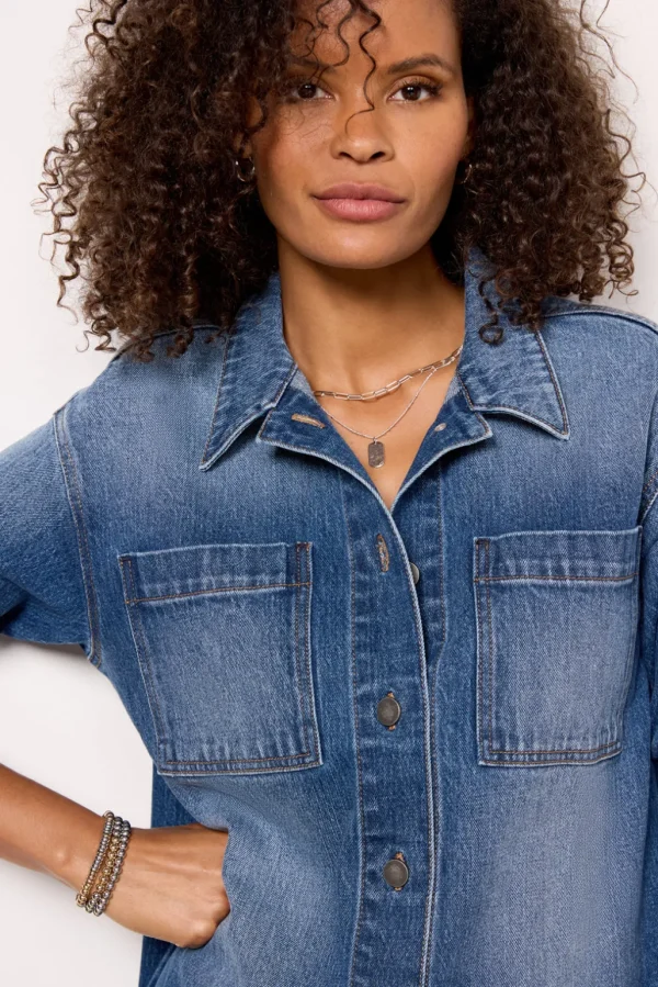 Ever Denim Dress