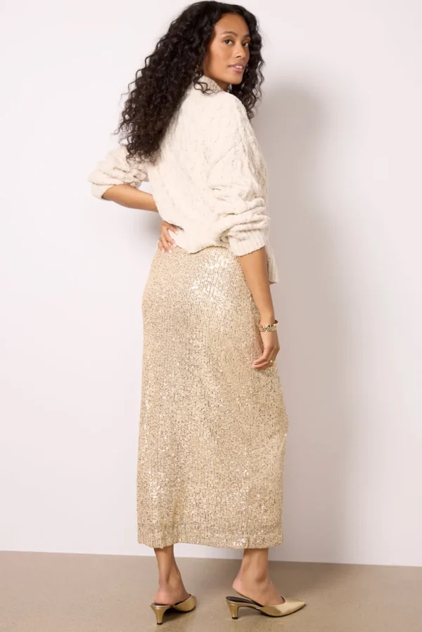 Saturn Sequin skirt